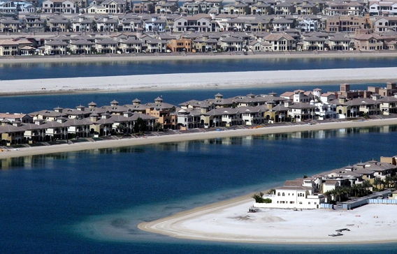 Palm9.jpg