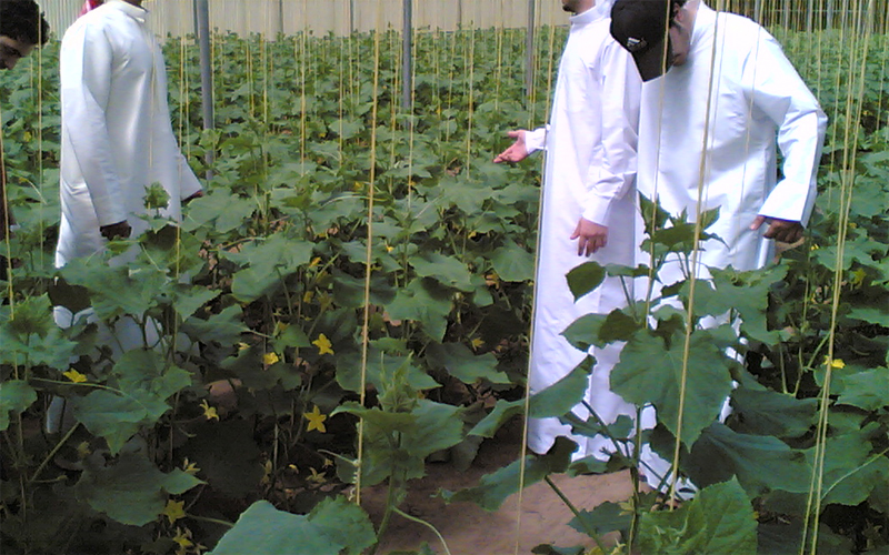 uae-college-of-ag.jpg