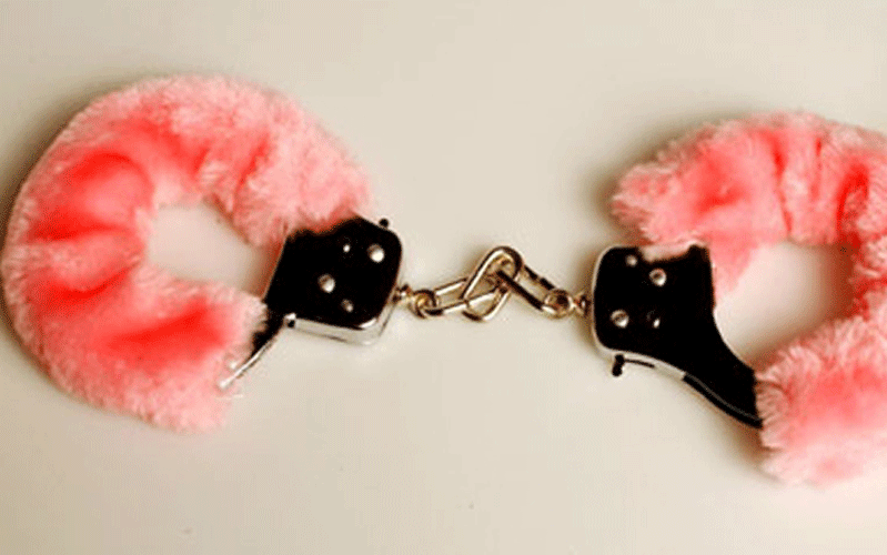 Sex toys (SUPPLIED)