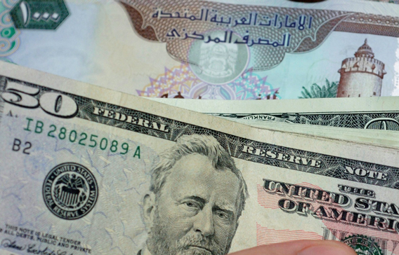 The US dollar