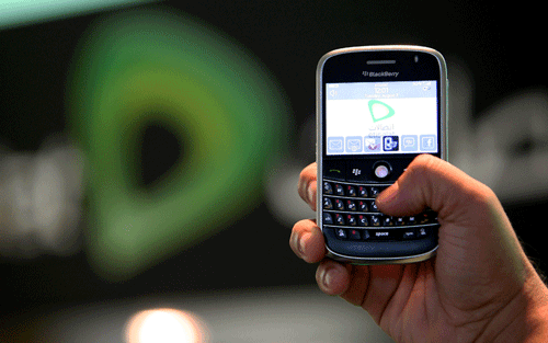 blackberry