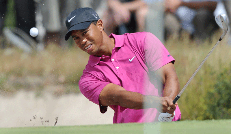 tiger