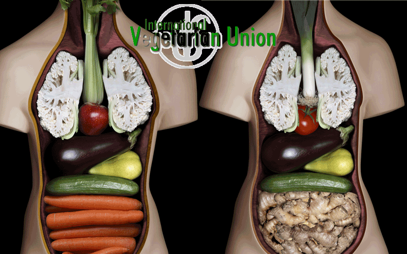 Veg