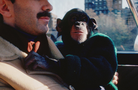 Monkey-ap