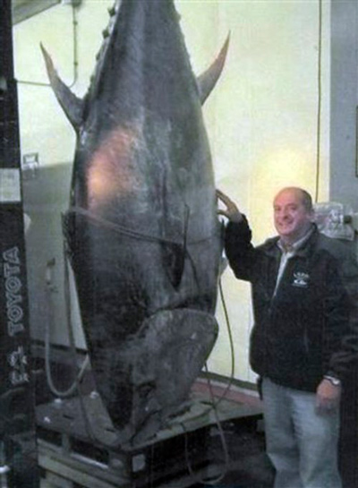 fish