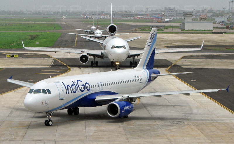 indigo