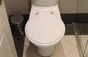 toilet