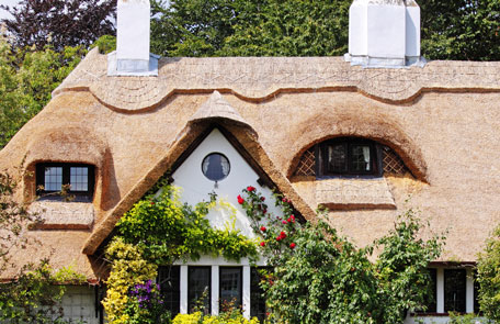cottage