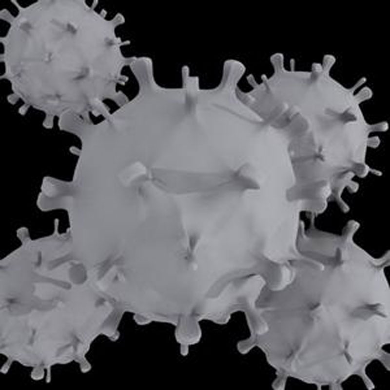 virus