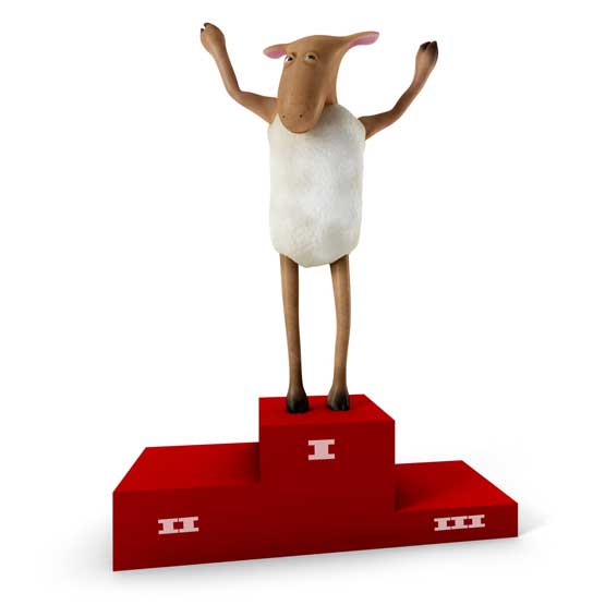 sheep