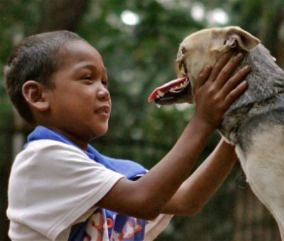 DOG