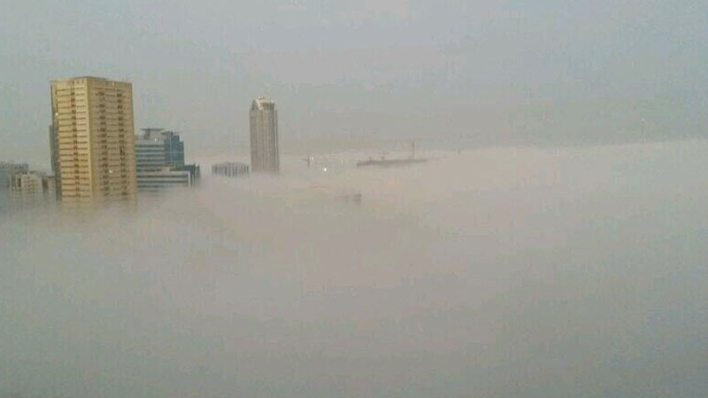 Fog - twitter