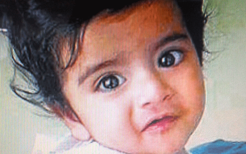 Baby Sijo