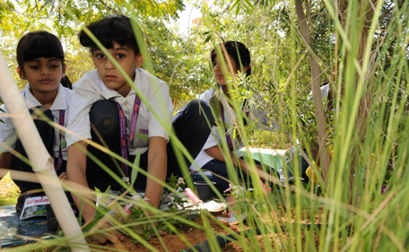 Al-Ain-Zoo's-Childrens-Safari