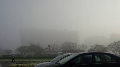 fog