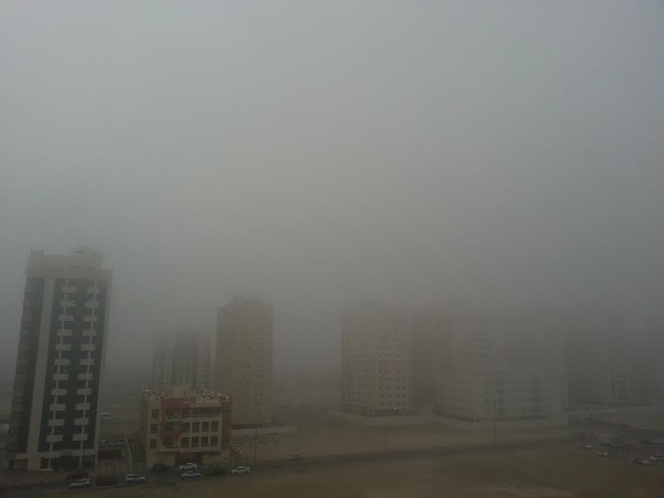 Fog - sneha