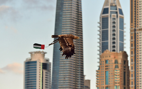 Freedom Conservation