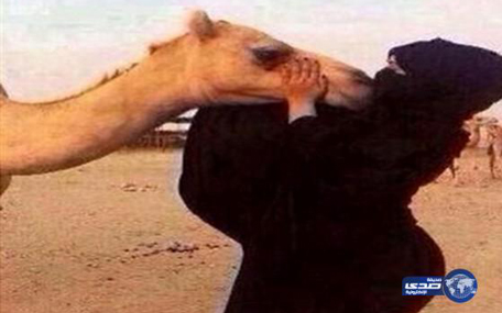 camel