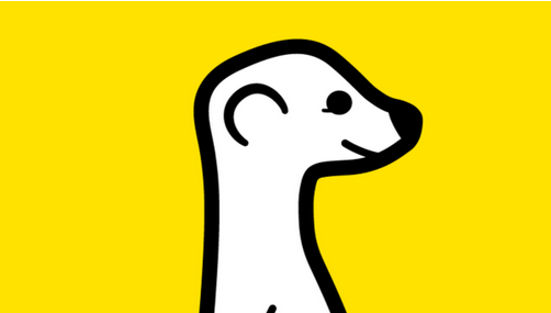 meerkat
