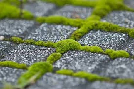 green cement