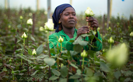 kenya