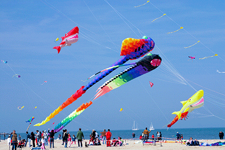 kite