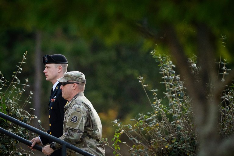 Bergdahl
