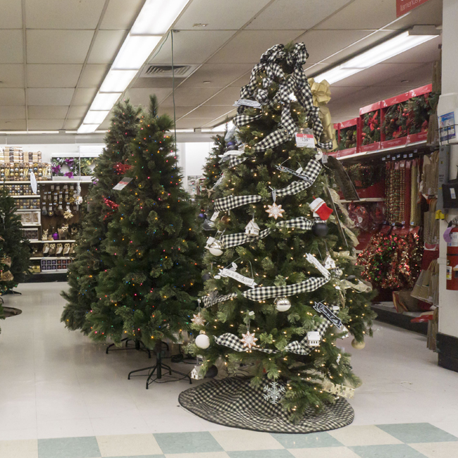 Christmas trees