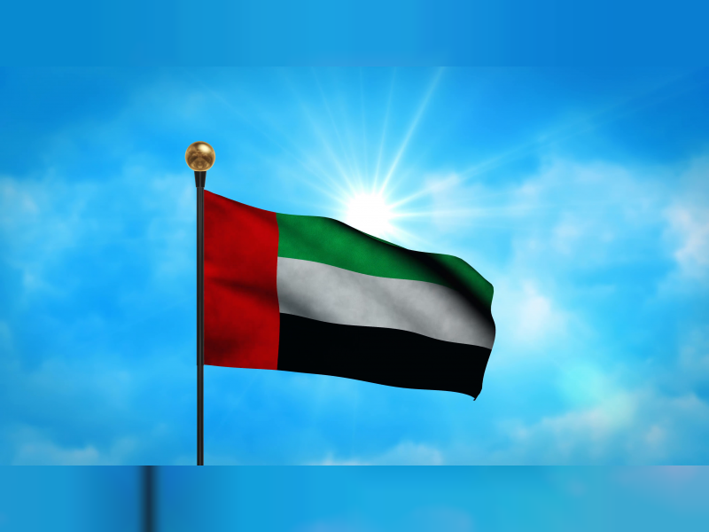 UAE flag