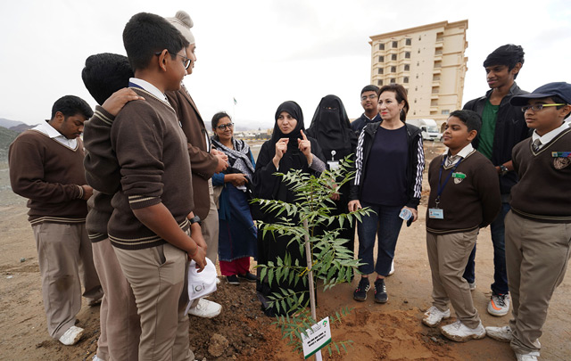 Sidr trees planted in Ras Al Khaimah