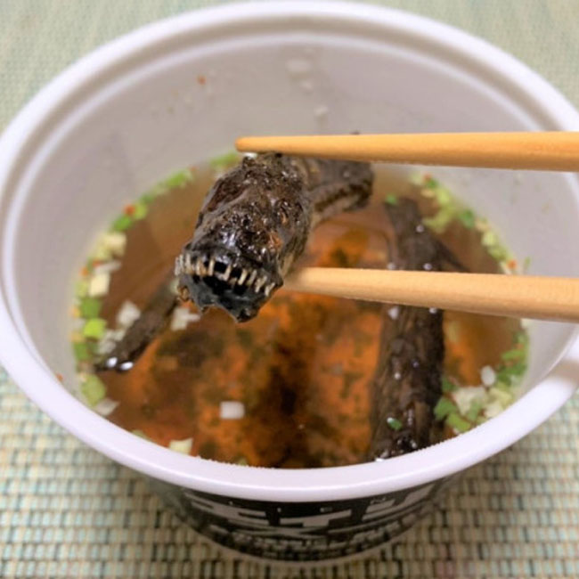alien soup