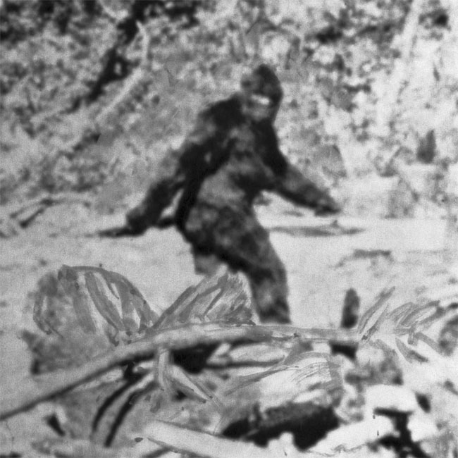 Bigfoot