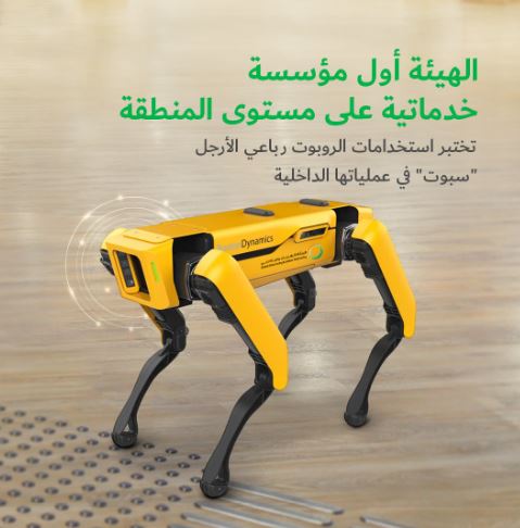 Spot Robots