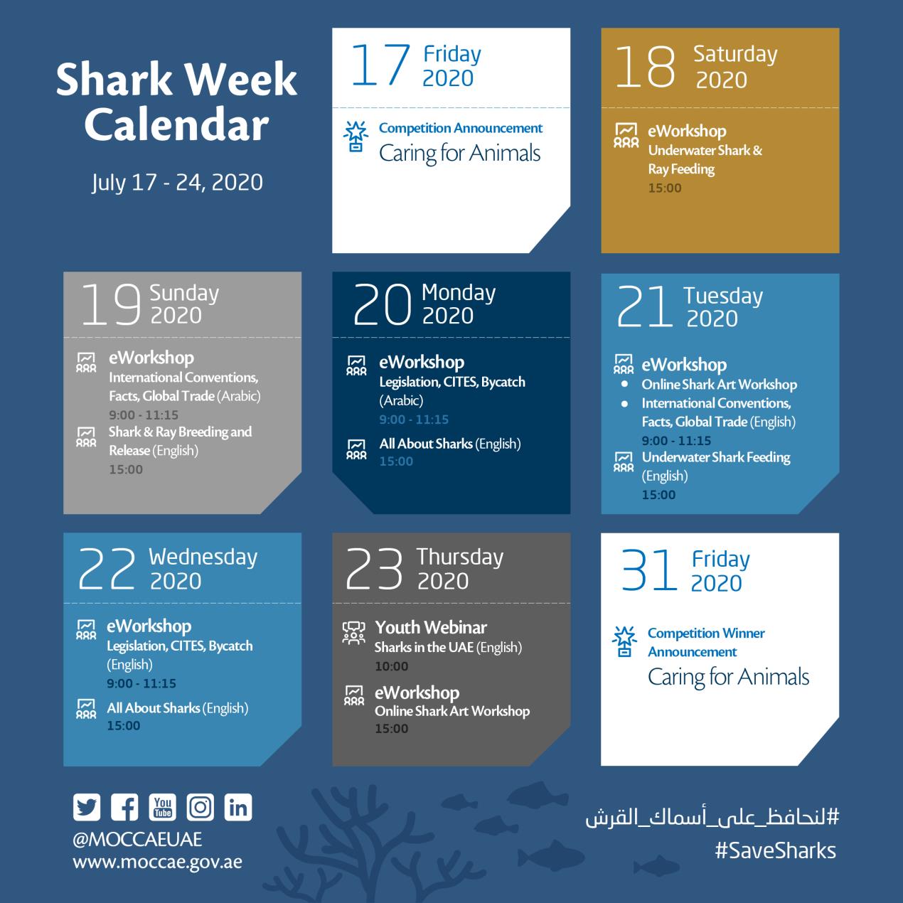 virtual Shark Week