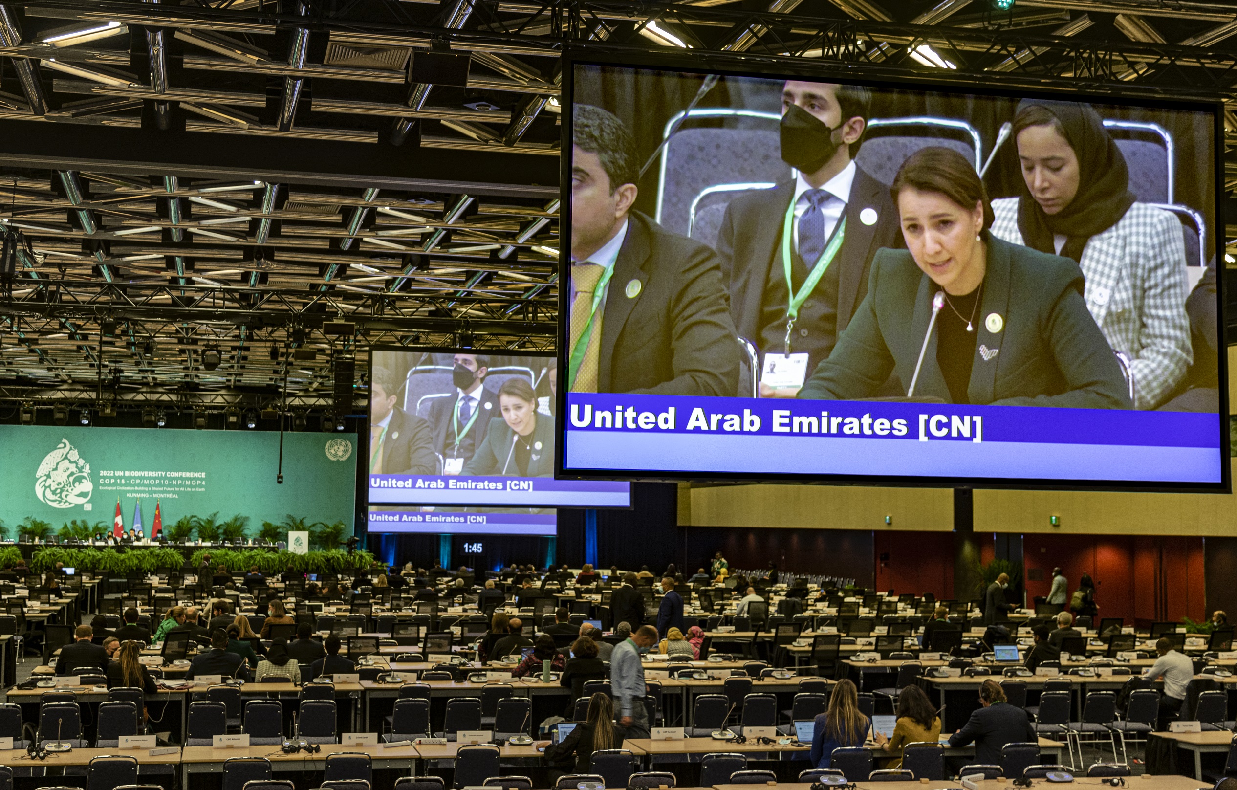 Mariam Almheiri Reiterates UAE’s Support for Adoption of Global ...