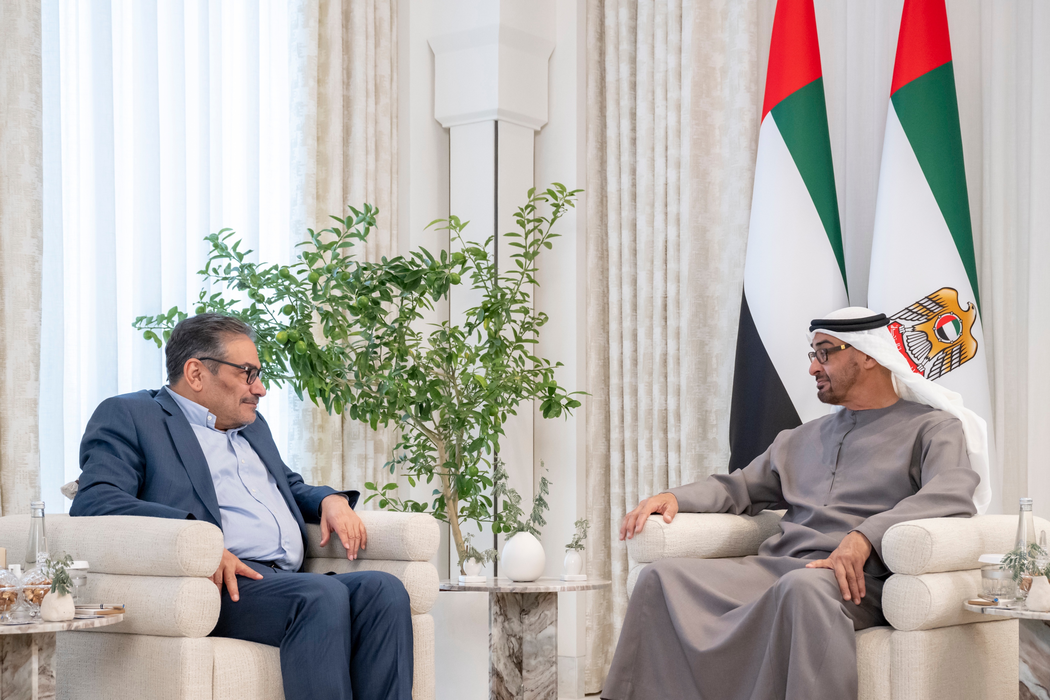 UAE President receives Secretary of Supreme National Security Council of Iran