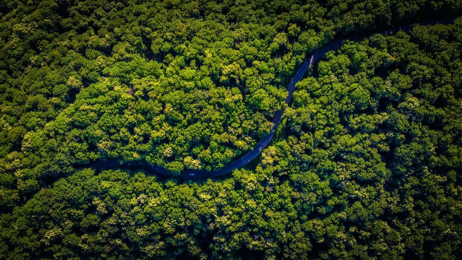 Action on Climate and Trade initiative aims to help developing countries meet climate goals: WEF