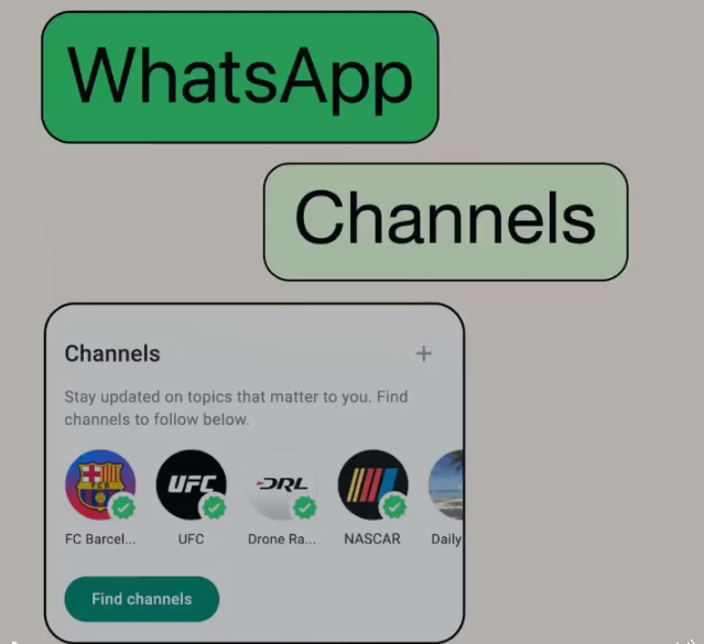 Meta Announces WhatsApp Channels, Enabling Private Following of Individuals and Organizations