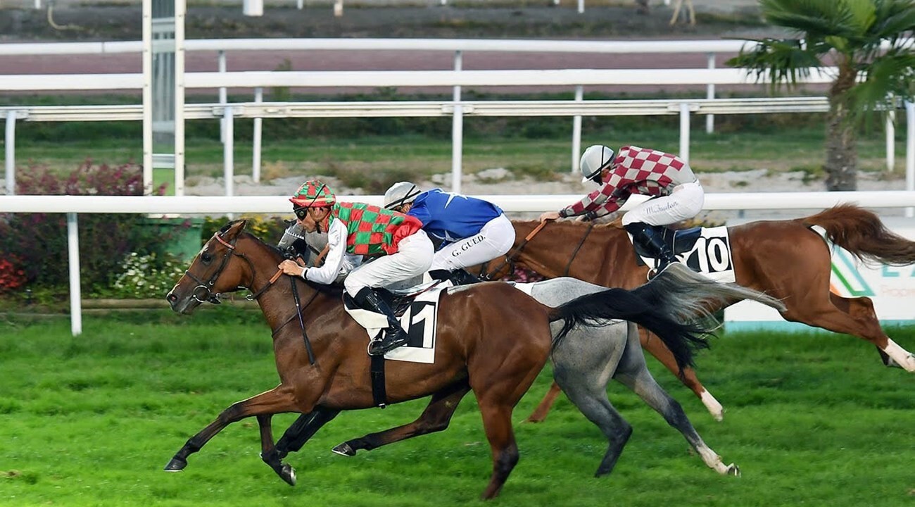 San Sebastián Racecourse in Madrid to host the Sheikh Zayed Zayed bin Sultan Cup