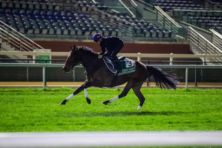 Longines Dubai Sheema Classic More than a Match Race