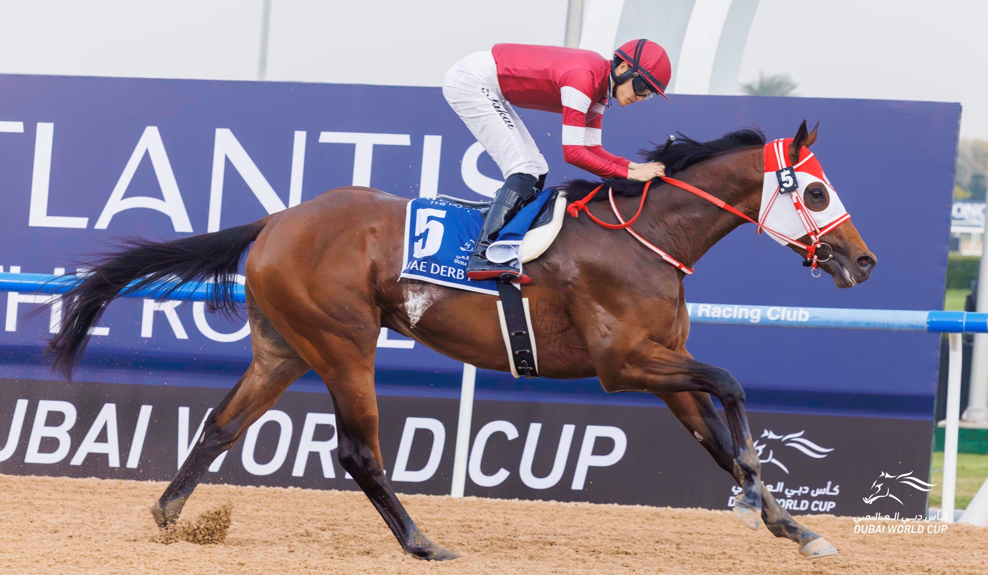 World’s biggest equine stars set to compete in the Dubai World Cup