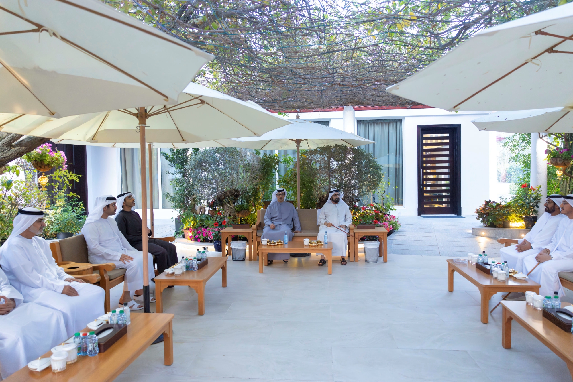 Mohammed bin Rashid meets with Mansour bin Zayed at Al Marmoom