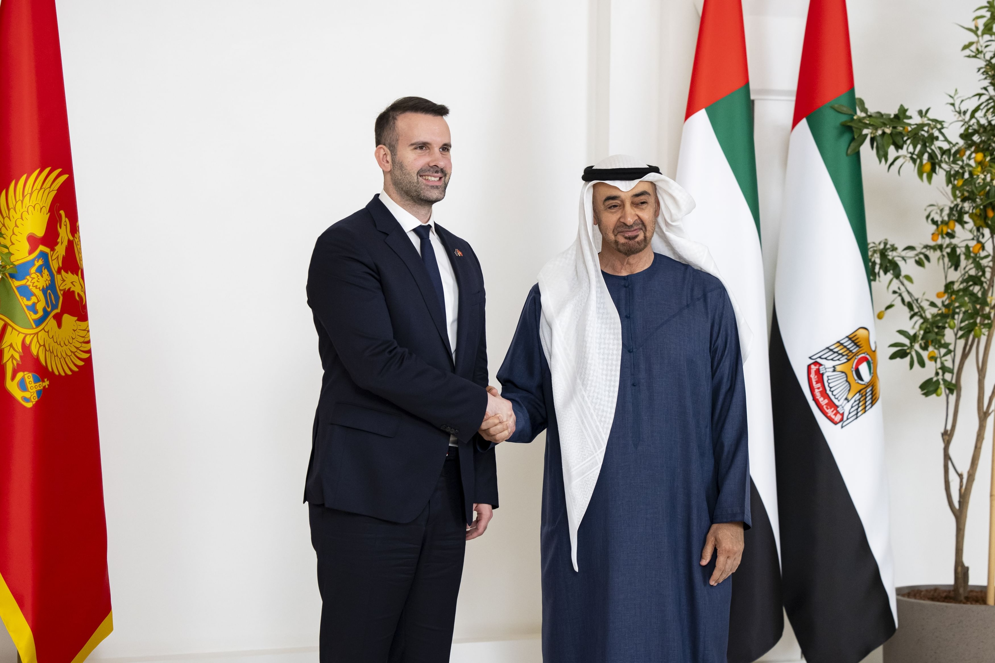 UAE President discusses strengthening bilateral relations with Montenegrin Prime Minister; witnesses